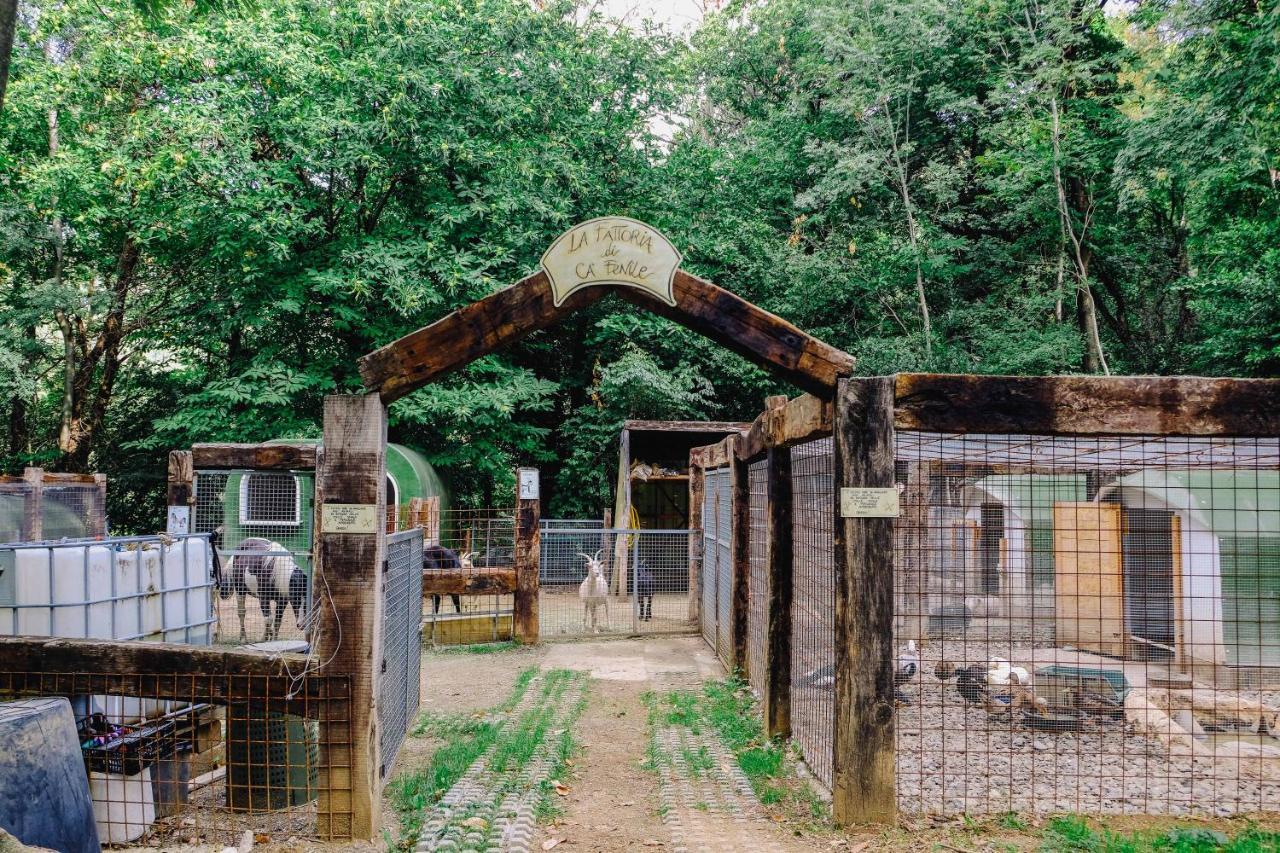Agriturismo Ca' Fenile Alzano Lombardo Ngoại thất bức ảnh