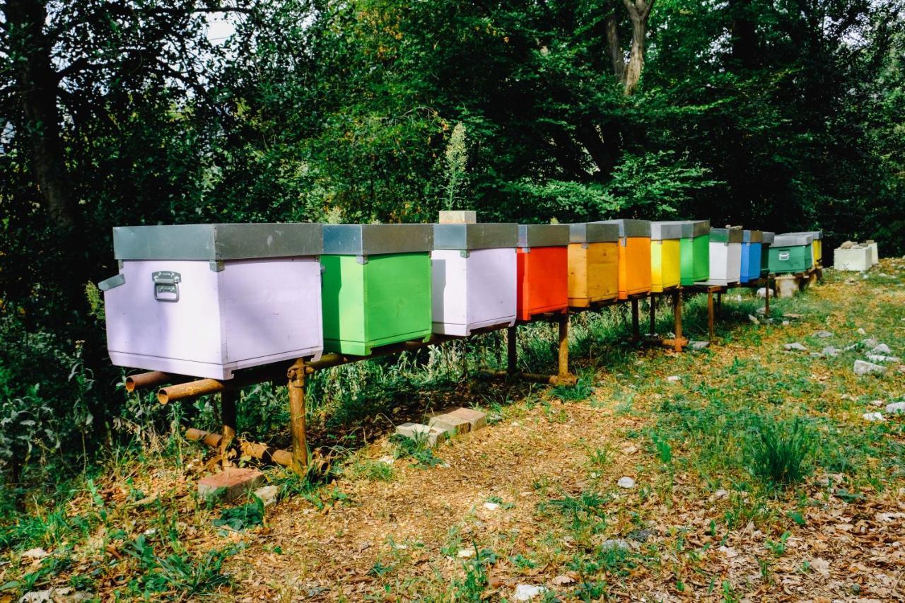 Agriturismo Ca' Fenile Alzano Lombardo Ngoại thất bức ảnh