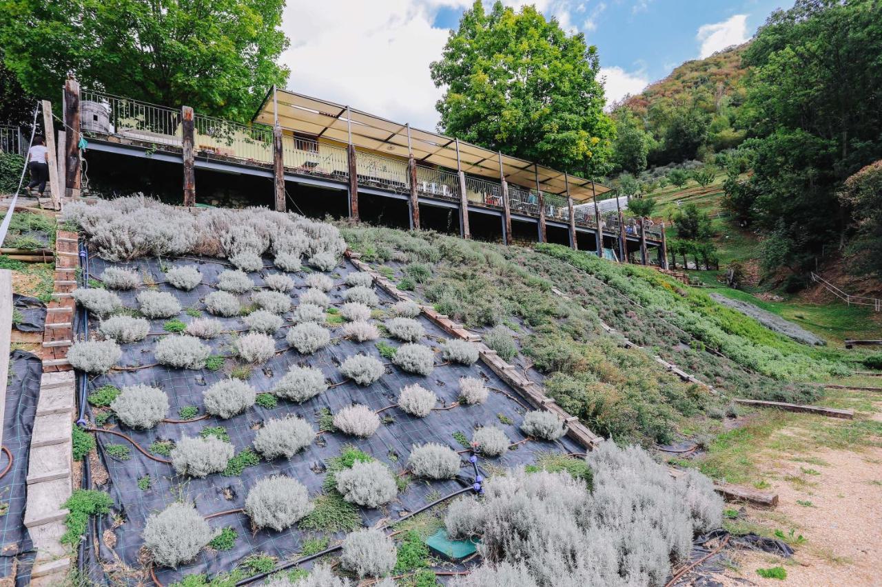 Agriturismo Ca' Fenile Alzano Lombardo Ngoại thất bức ảnh