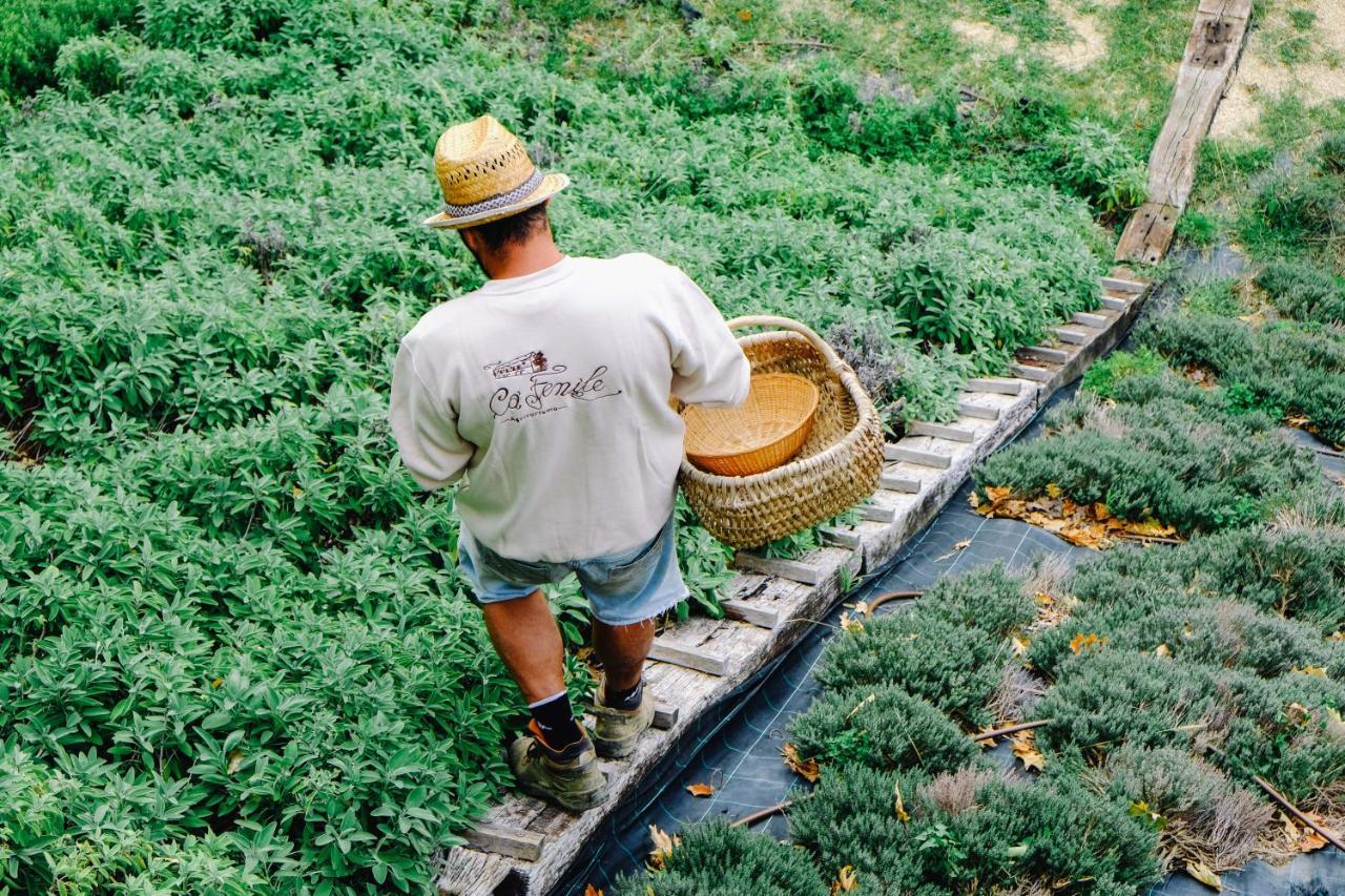 Agriturismo Ca' Fenile Alzano Lombardo Ngoại thất bức ảnh