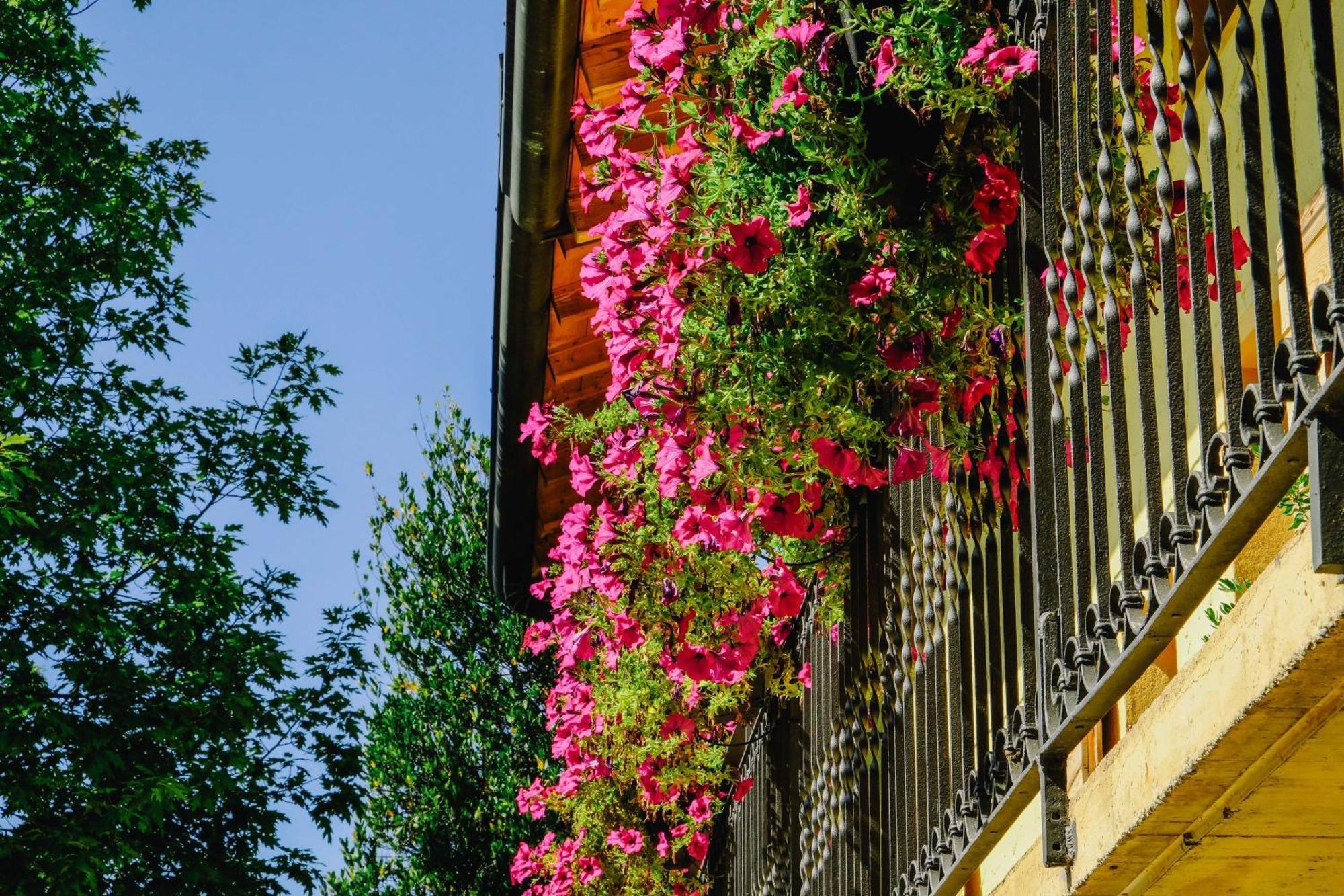 Agriturismo Ca' Fenile Alzano Lombardo Ngoại thất bức ảnh